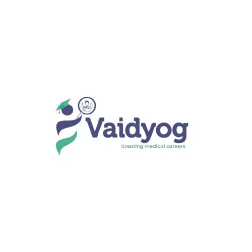 Digital Marketing - Intern